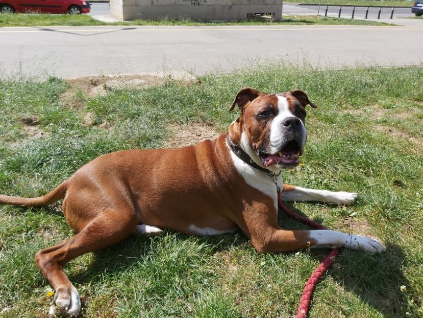  - zzz Bobby 2020 - 2021