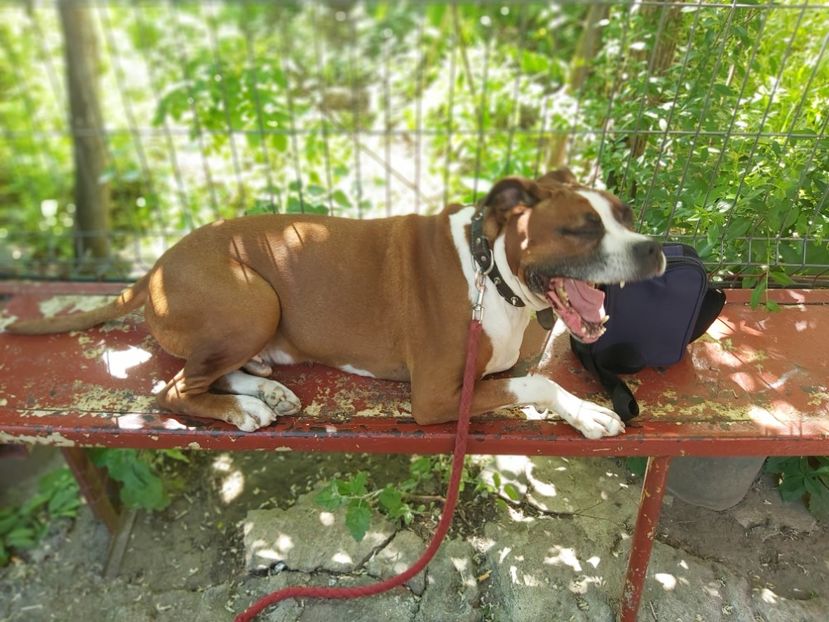  - zzz Bobby 2020 - 2021