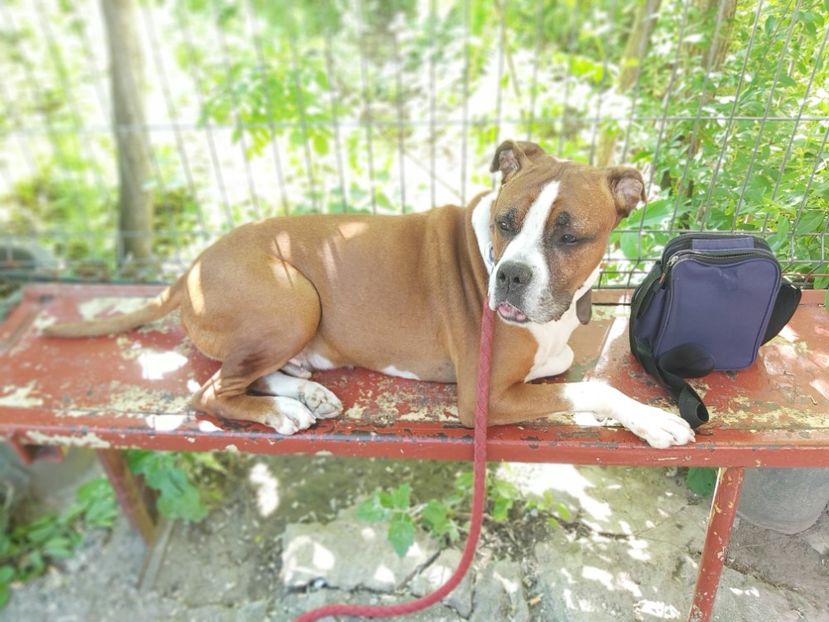  - zzz Bobby 2020 - 2021