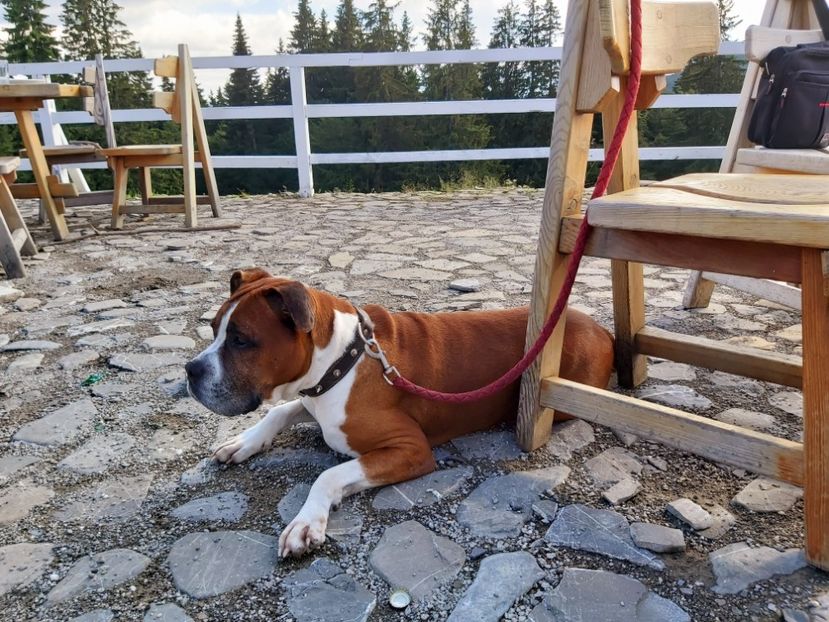  - zzz Bobby 2020 - 2021