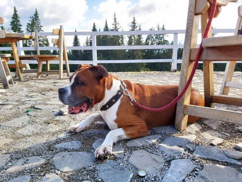  - zzz Bobby 2020 - 2021