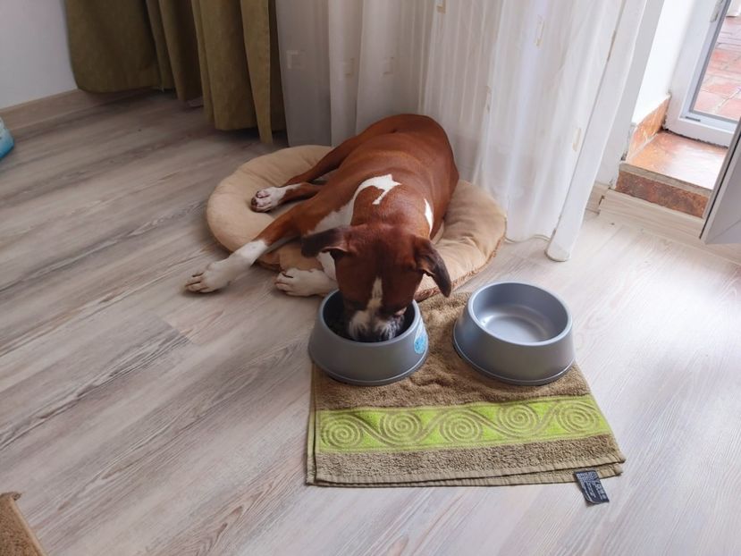  - zzz Bobby 2020 - 2021