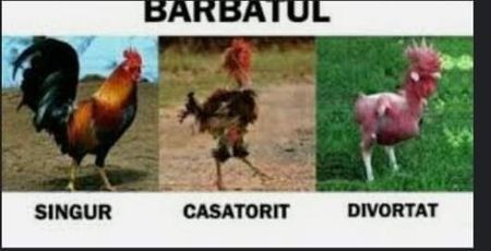  - Divertisment 4