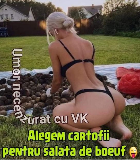  - Divertisment 4