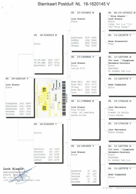 145ped - Achizitii porumbei -2021