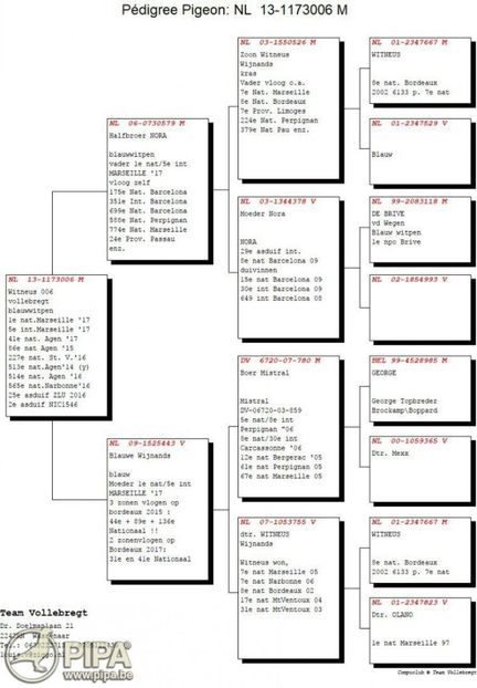  - WITTNEUS - Team Vollebregt semifrate WITTNEUS 006 1 nat MARSEILLE 2017 1011 km