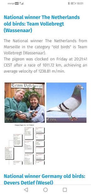 1 nat / 4 int Marseille 2017 - WITTNEUS - Team Vollebregt semifrate WITTNEUS 006 1 nat MARSEILLE 2017 1011 km