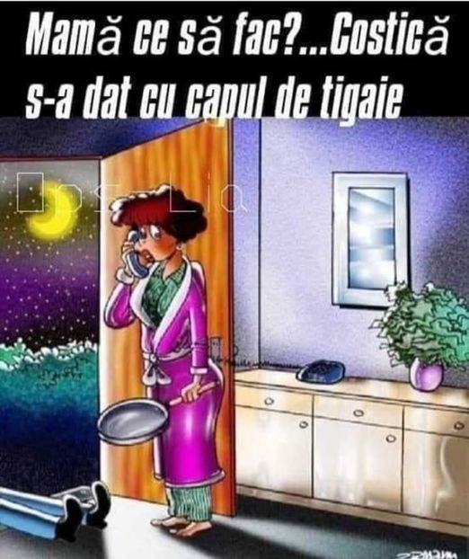  - Divertisment 4
