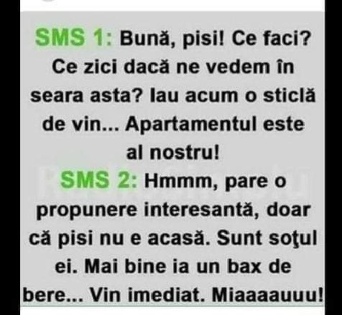  - Divertisment 4