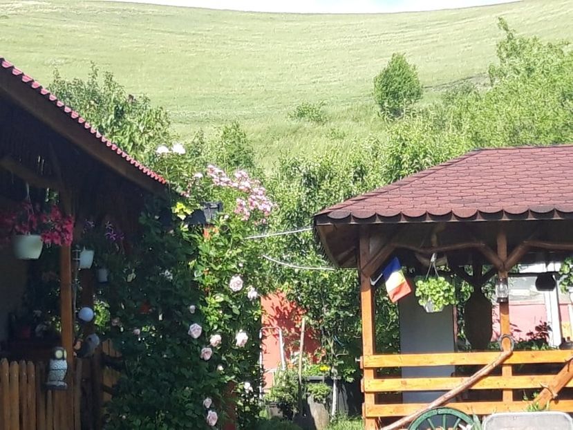  - vara 2021