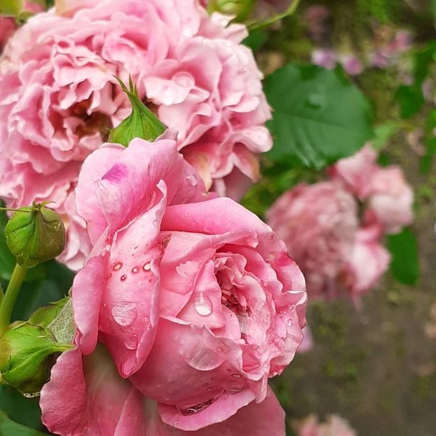  - Agnes 2021 - 2022-2023