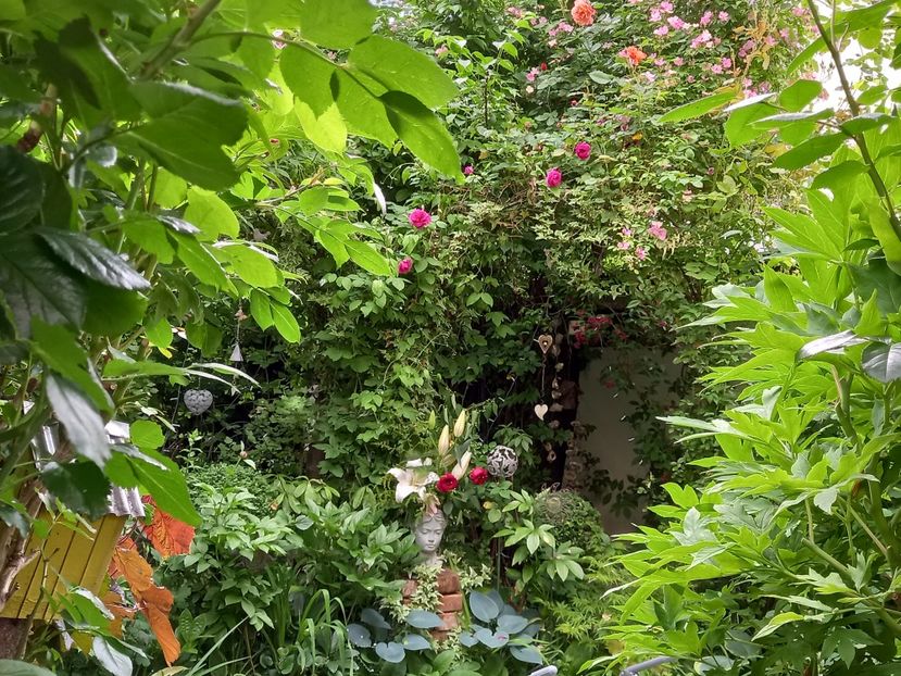  - Grădina 2021 continuare 2