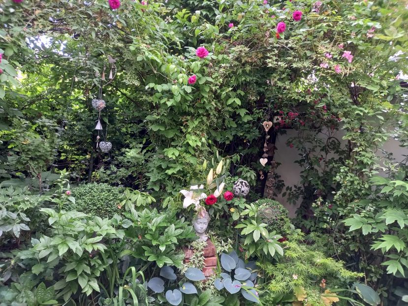  - Grădina 2021 continuare 2