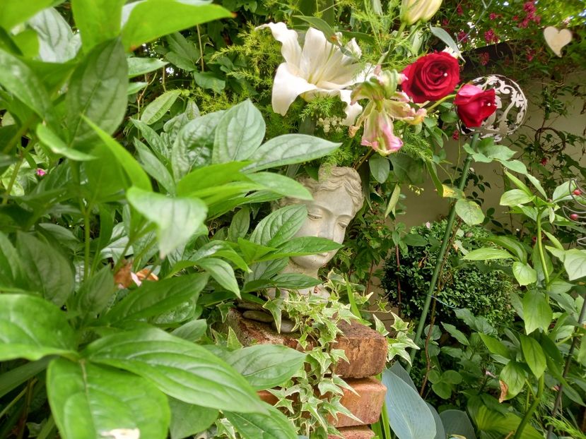  - Grădina 2021 continuare 2