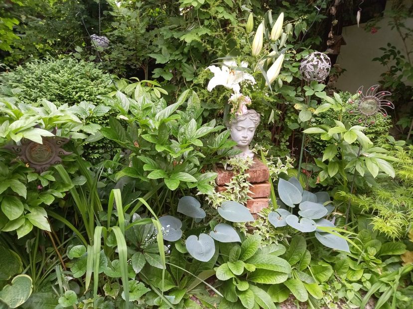  - Grădina 2021 continuare 2