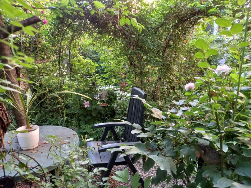  - Grădina 2021 continuare 2