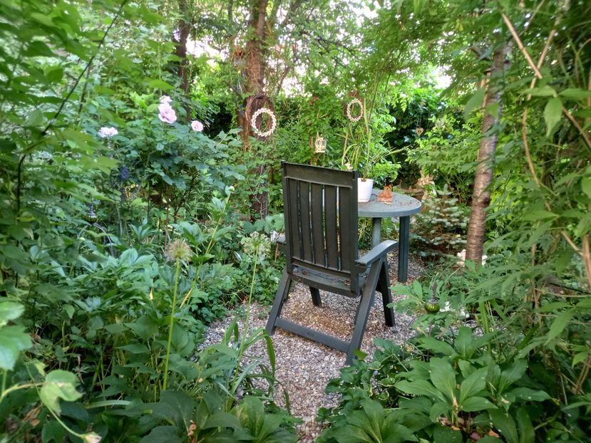  - Grădina 2021 continuare 2