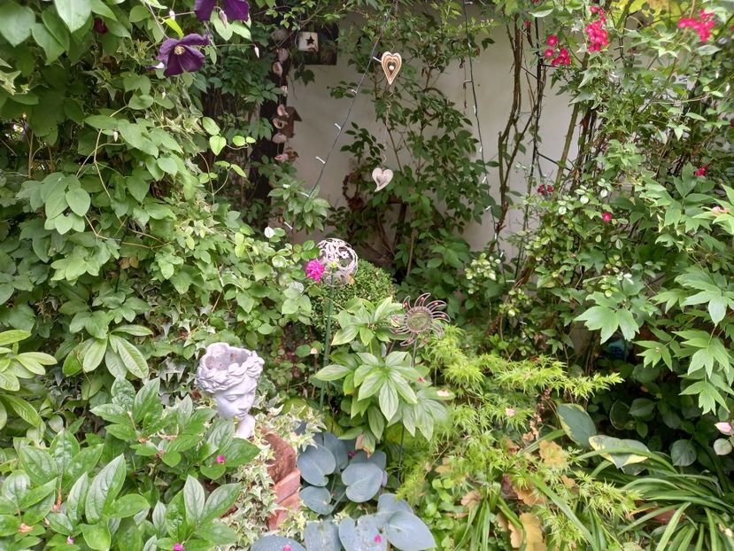  - Grădina 2021 continuare 2