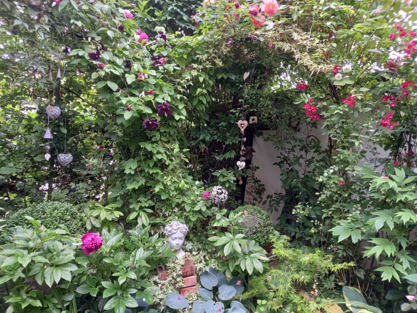  - Grădina 2021 continuare 2