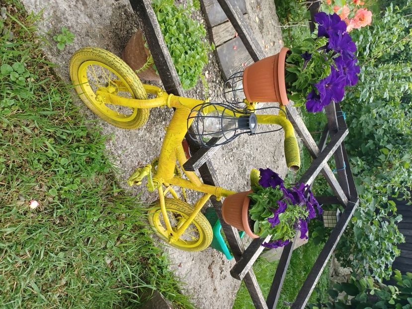  - Floricele diverse 2021