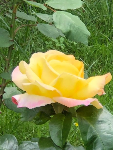 WhatsApp Image 2021-06-20 at 14.04.59 (10) - 10 Roman 20 06 2021