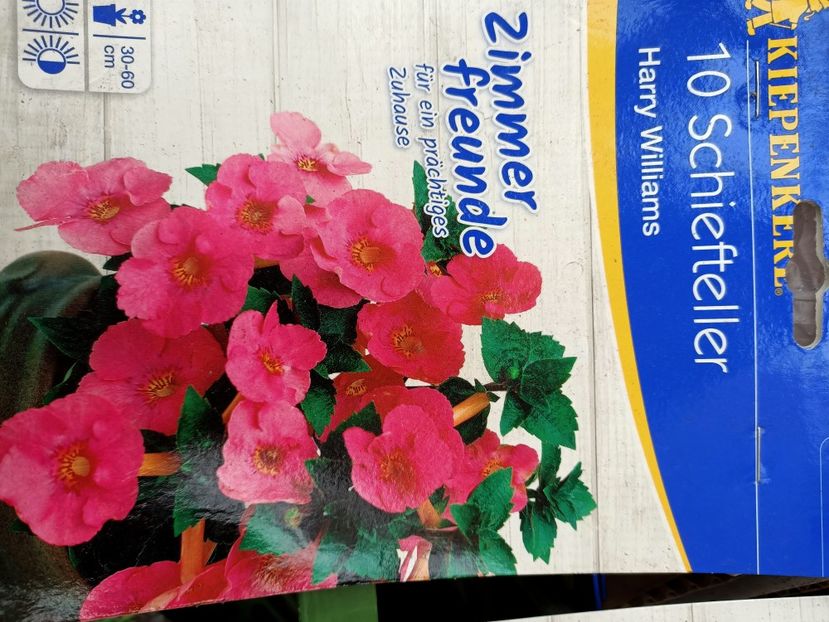 Img.2021.06.20 - Magazinul