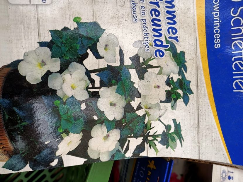 Img.2021.06.20 - Magazinul