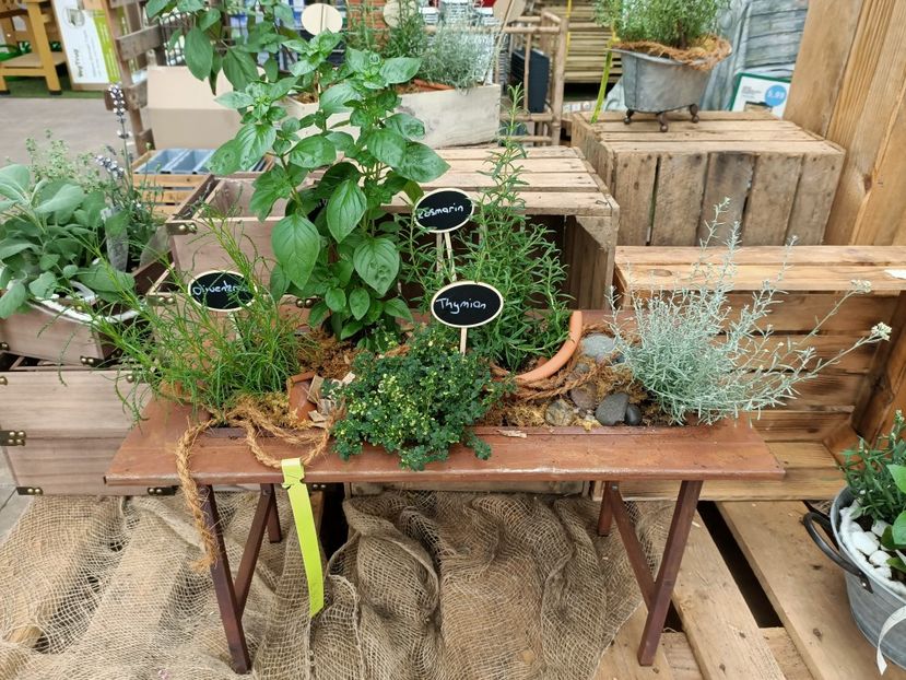 Img.2021.06.20 - Magazinul