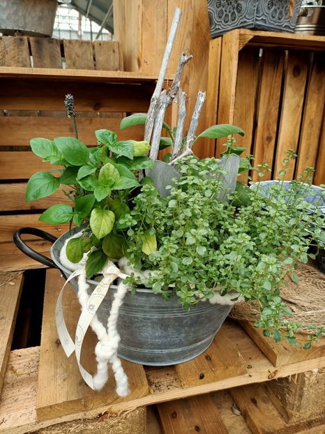 IMG20210620112427 - Magazinul