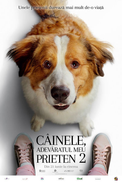 A Dog's Journey (2019) vazut de mine - 01 Ultimul film sau serial vizionat de tine