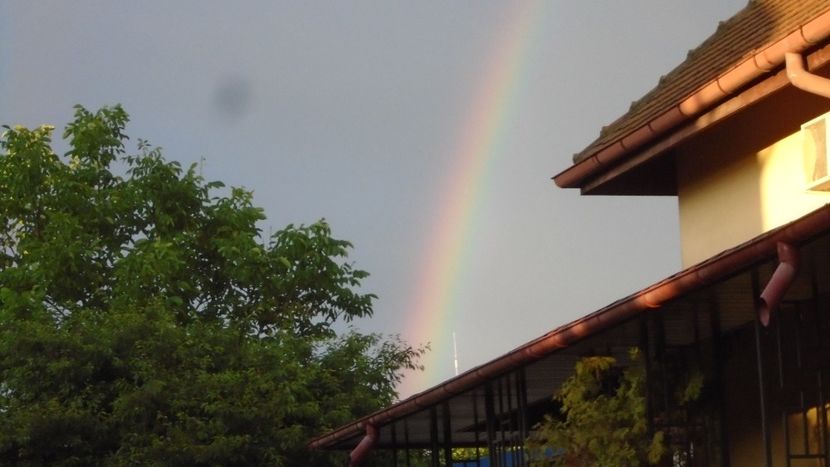 Furtuna cu soare & curcubeu - Primavara 2021-2022-2023