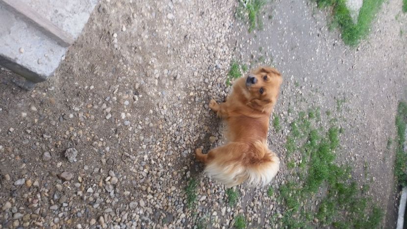 2021-06-20 15.33.04 - Flori si copii blanosi