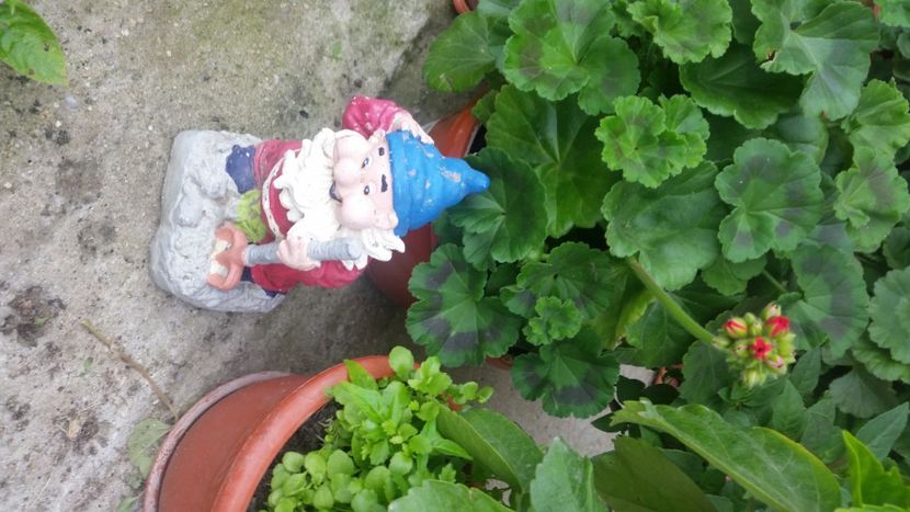 2021-06-20 15.57.25 - Flori si copii blanosi