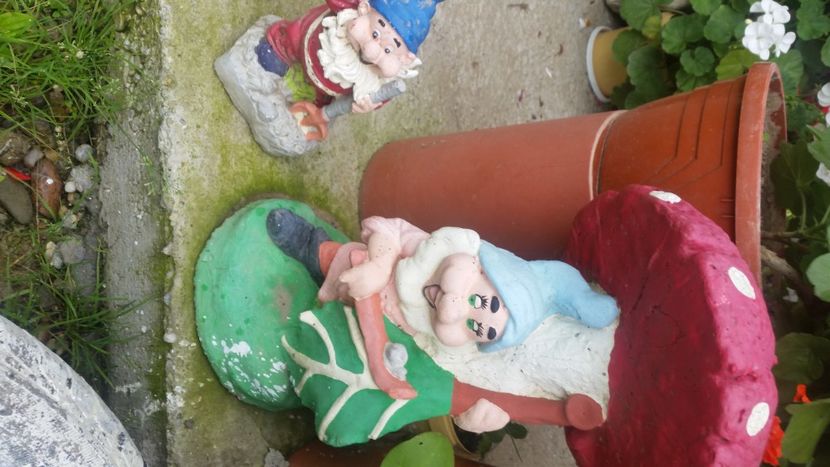 2021-06-20 15.58.12 - Flori si copii blanosi