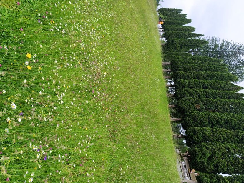  - 2021 - Excursie Busteni si Sinaia