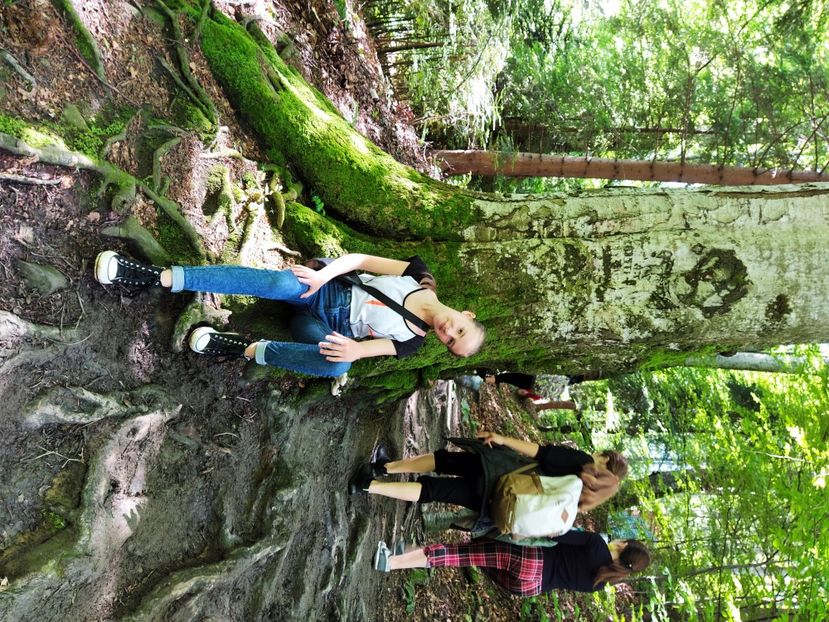  - 2021 - Excursie Busteni si Sinaia