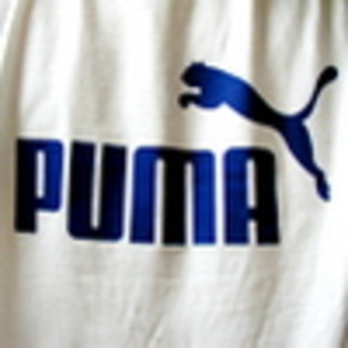 Poze pentru Avatare Puma Avatar[1] - diverse