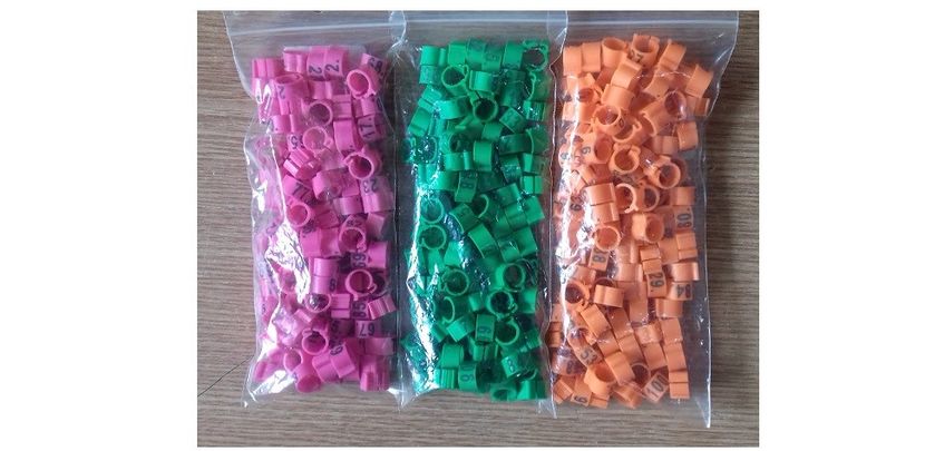 Cleme-late-numerotate-1-100 - 1 - CLEME NUMEROTATE