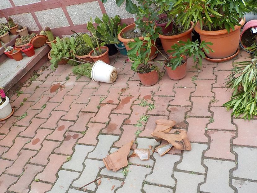  - 23 iunie 2021 furtuna