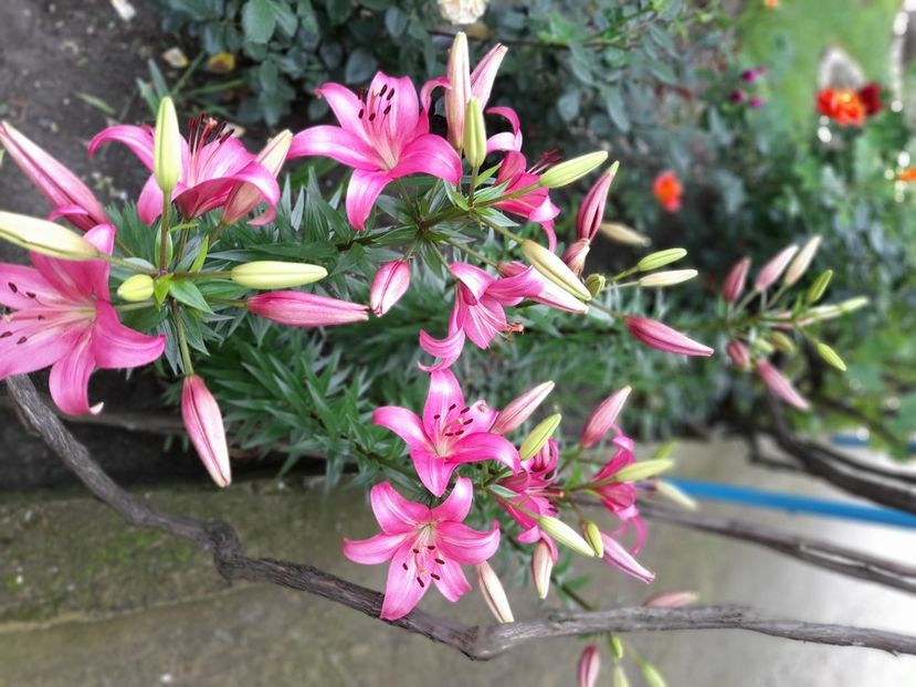  - Un nou inceput 2021