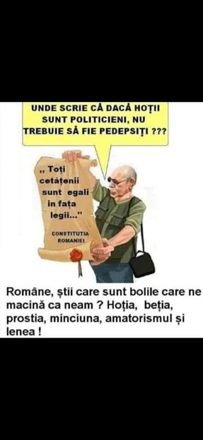  - Divertisment 5