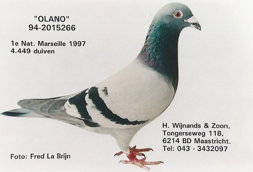 OLANO - WITTNEUS - Team Vollebregt semifrate WITTNEUS 006 1 nat MARSEILLE 2017 1011 km