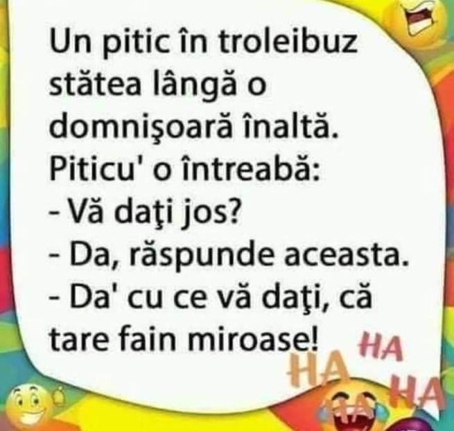  - Divertisment 5