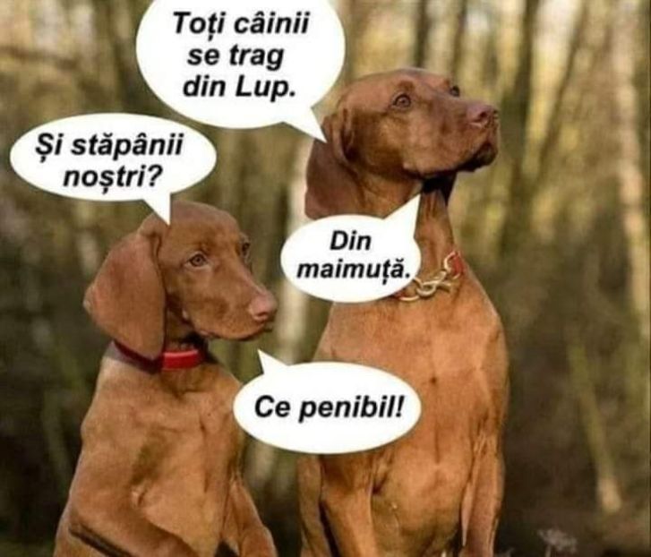 - O frumoasa si nobila pasiune