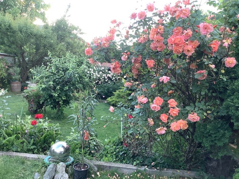 1E364F2A-8D91-4CD8-AEBC-03064E4672A4 - Westerland