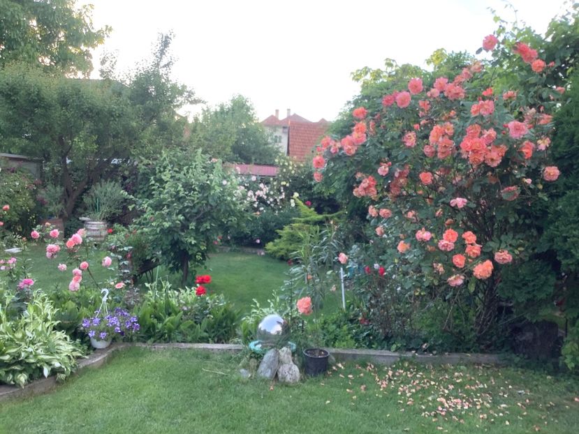 6F6F1D7F-53BE-43AB-82A2-1A4C7B7D0FE1 - Westerland