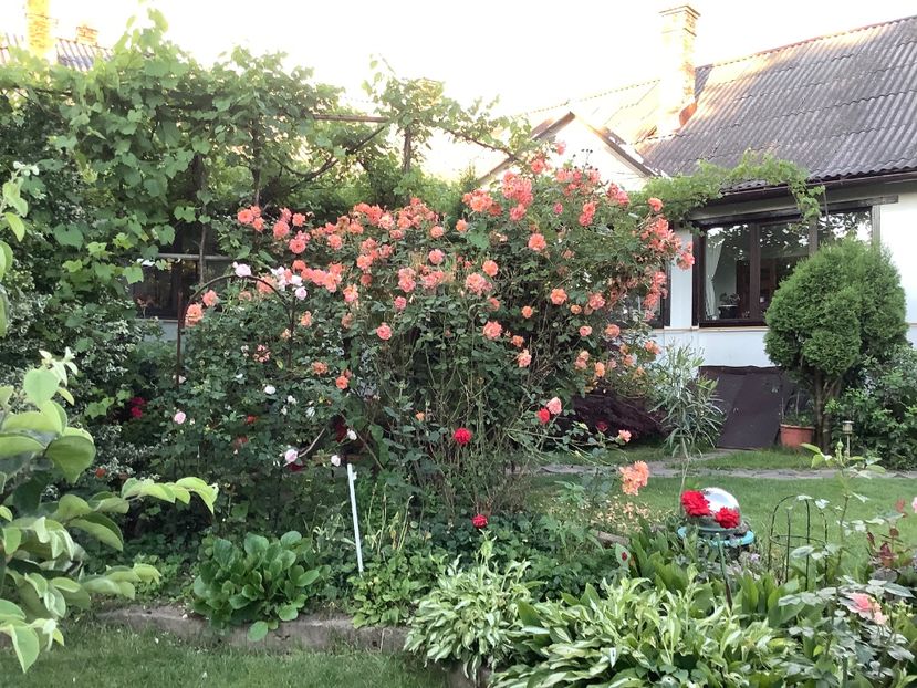 079B257C-F551-407F-8076-457DE35C0555 - Westerland