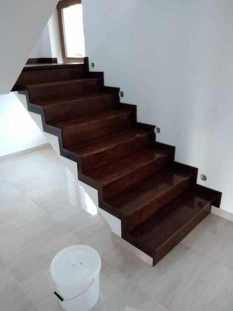  - 2021 Scari Interioare