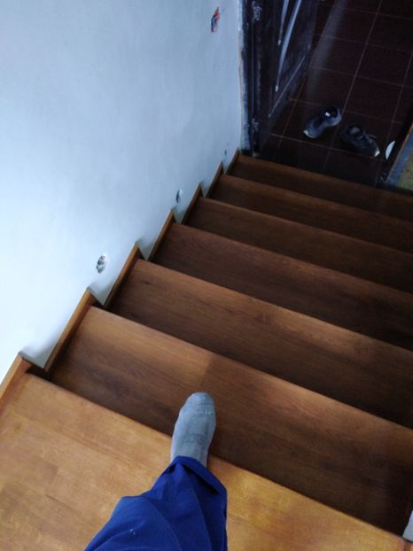  - 2021 Scari Interioare