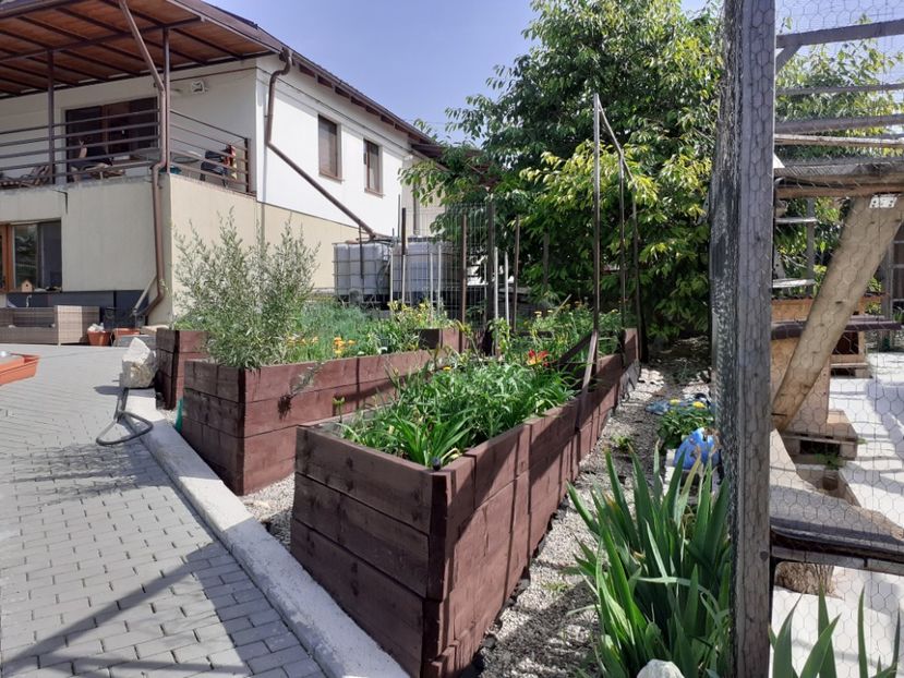 - Gradina 2021